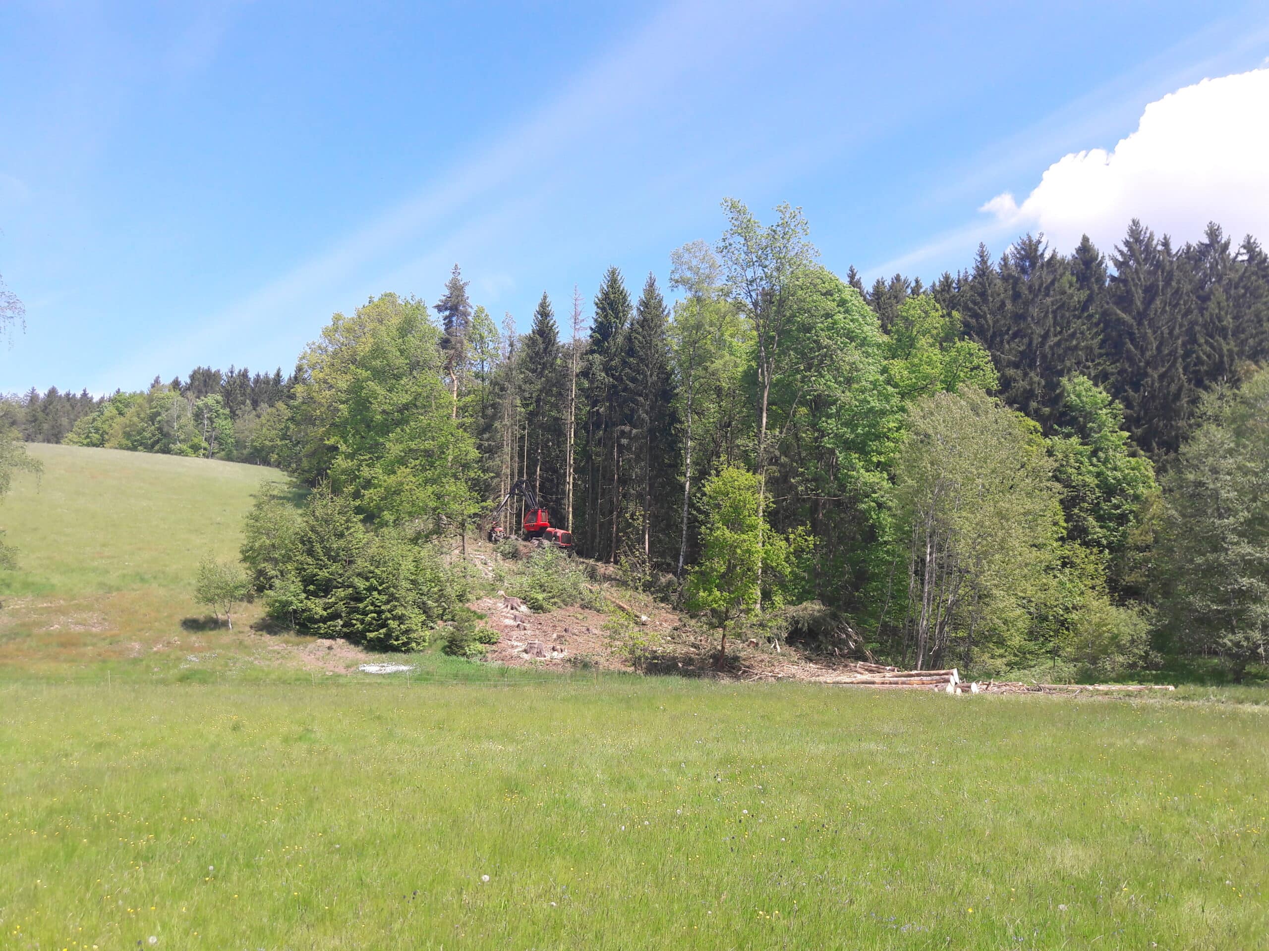 Ansicht auf Waldstück mit roter Forstmaschine in der Entfernung