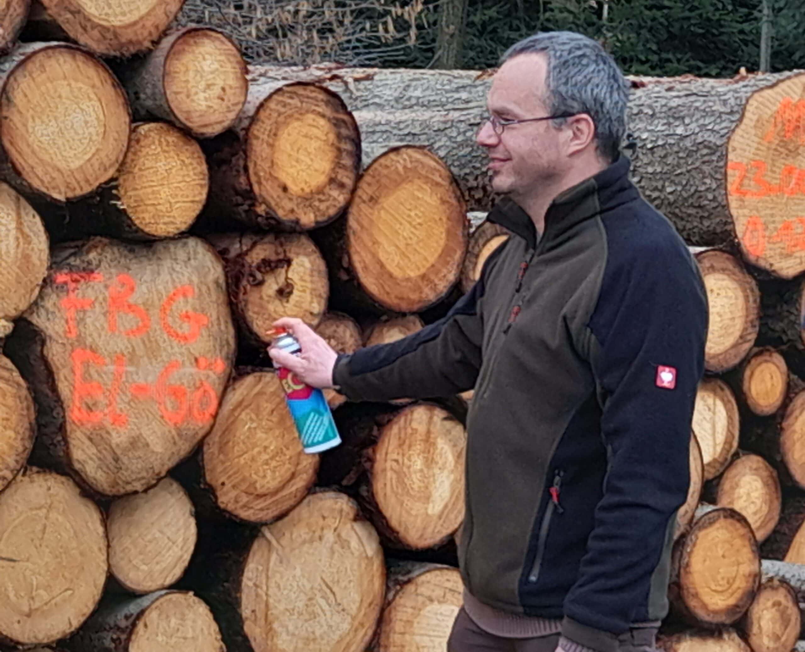 Person sprüht Baumstamm zur Holzvermarktung an