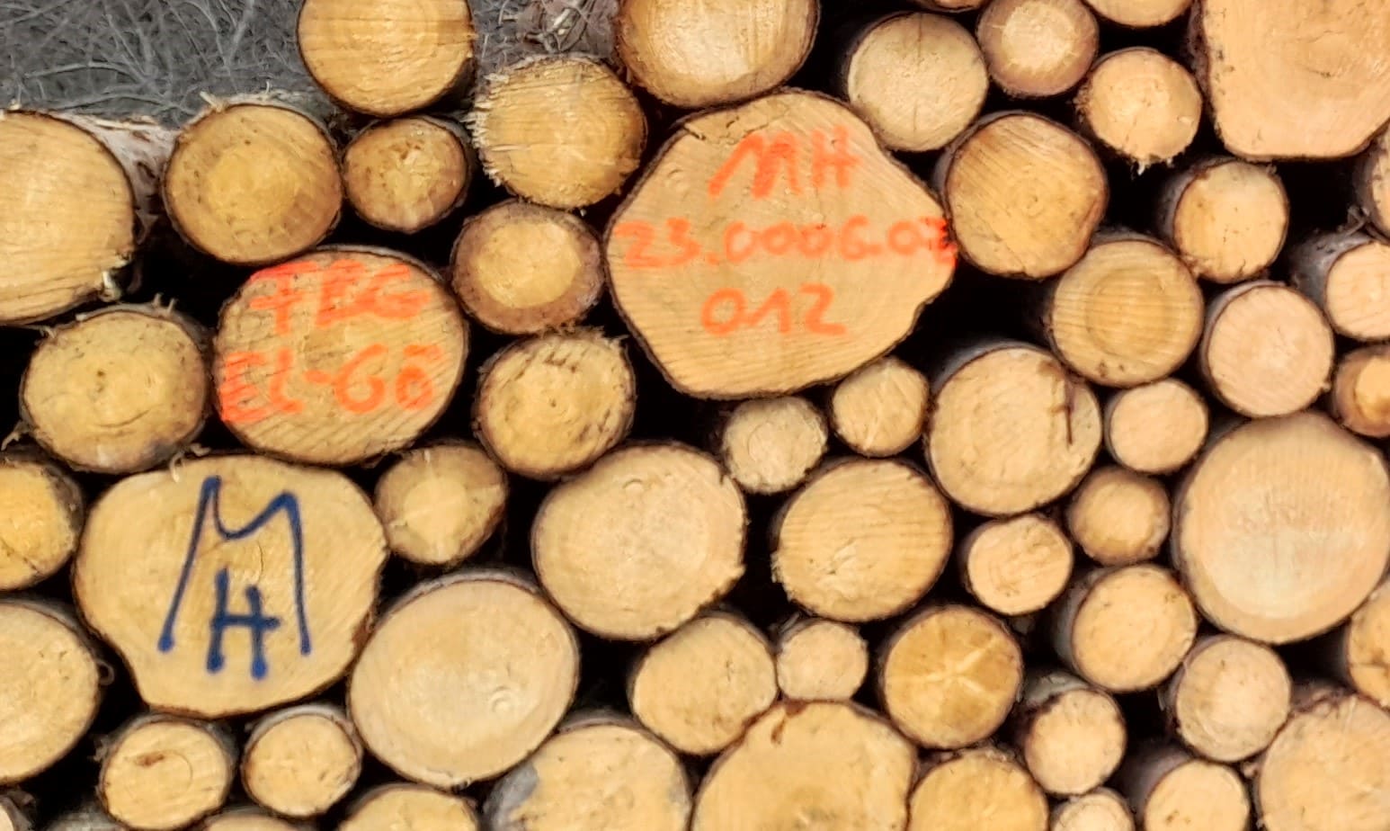 Holz Beschriftung